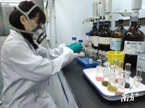 發揮技術優勢，把好發展關 技術服務助力清遠經濟騰飛